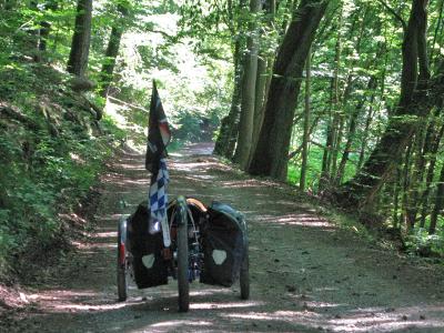 Radweg im Spessart