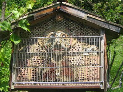 Bienenkasten