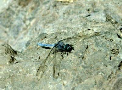 Oben im Barranco