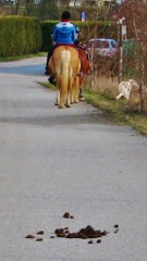 typische Reiter auf einem Radweg